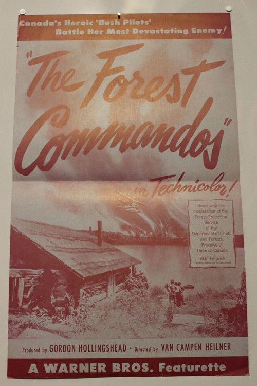 The Forest Commandos (1946) poster