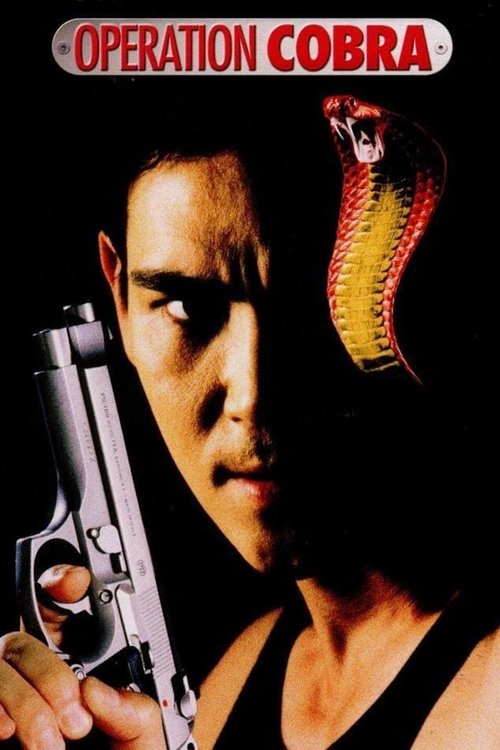 Operation Cobra (1997) poster