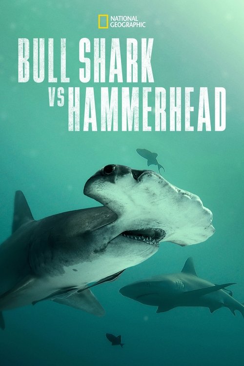 Bull Shark vs. Hammerhead (2023) poster