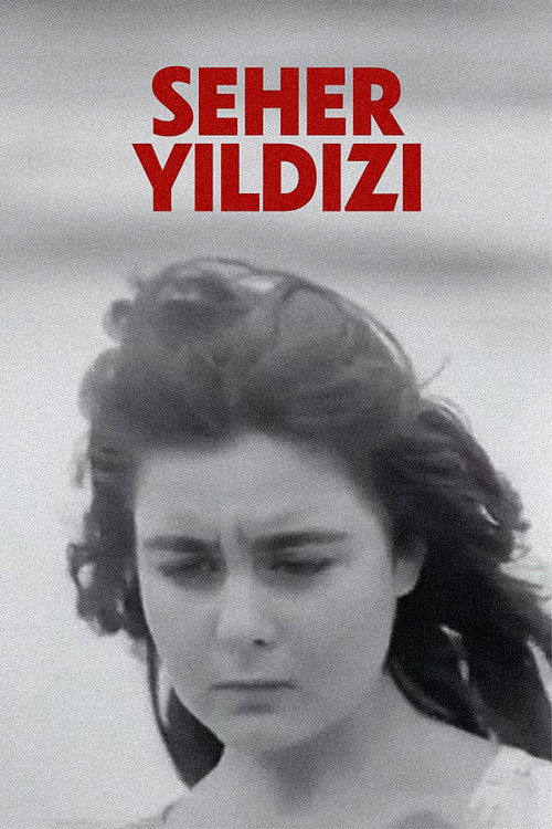 Seher Yıldızı (1959) poster