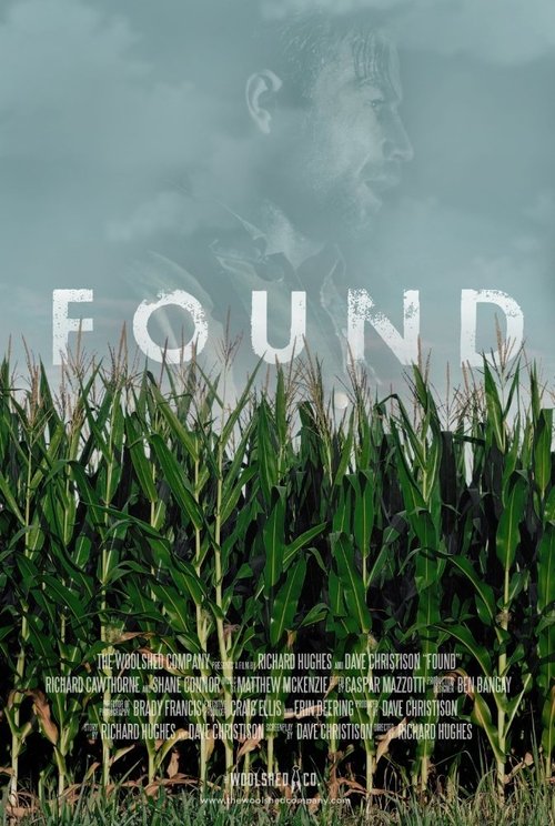 Found (2016) poster