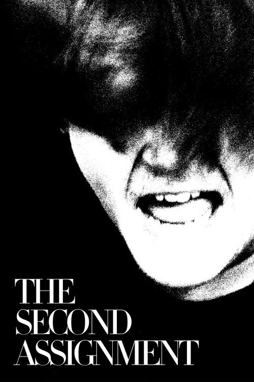 The Second Assignment (2026) poster