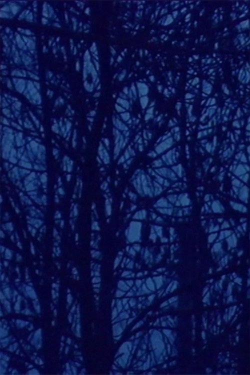 Il lago (soggettivo-oggettivo) (1965) poster