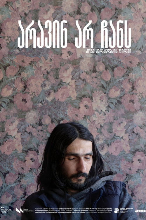 არავინ არ ჩანს (2025) poster