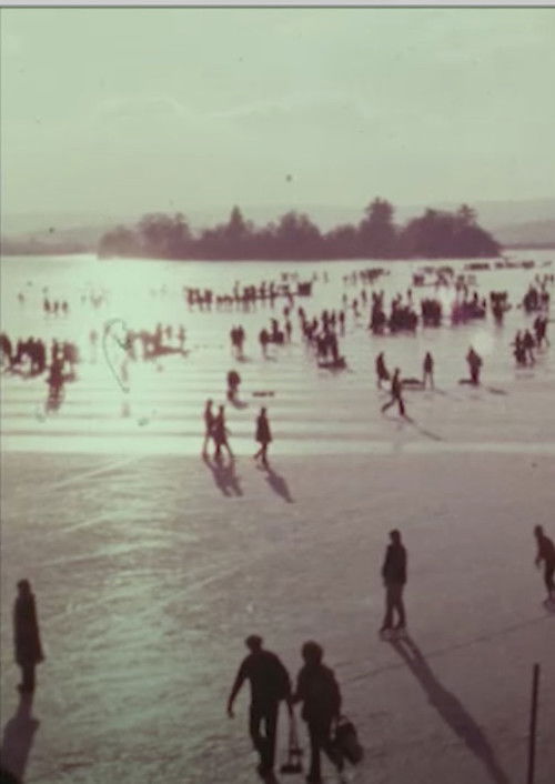 The Grand Match (1981) poster