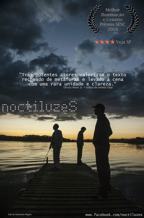 Noctiluzes (2021) poster