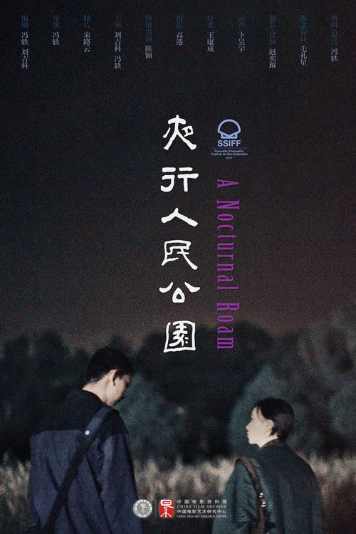 A Nocturnal Roam (2021) poster