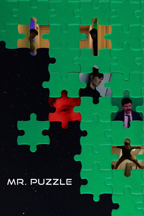 Mr. Puzzle (2026) poster