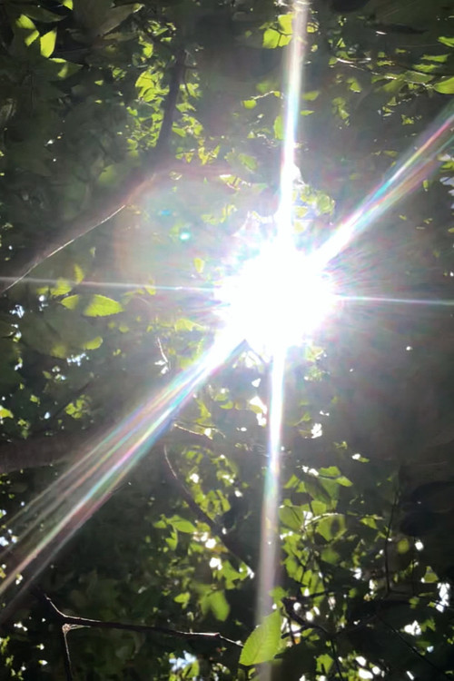 Sweet Melancholy (2021) poster