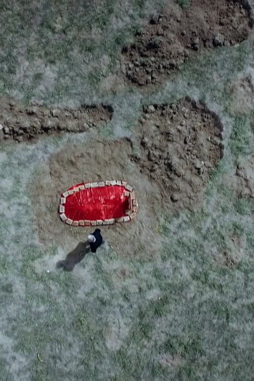 The grave under the plum tree (2021) poster