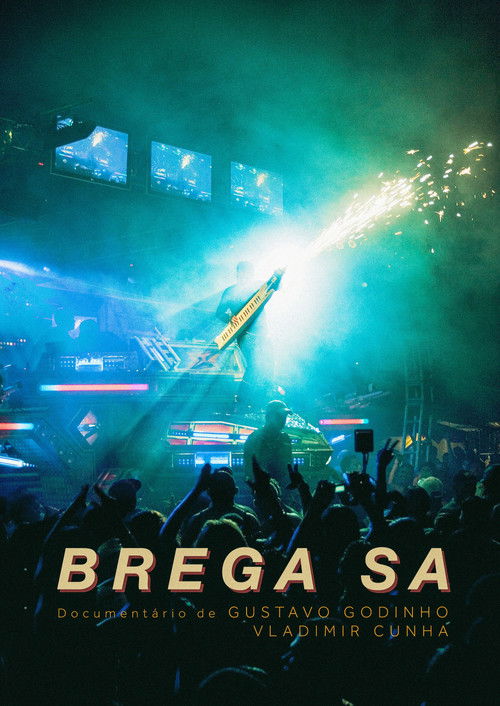 Brega S/A (2009) poster