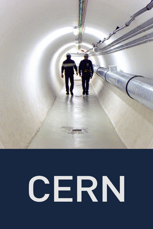 CERN (2013) poster