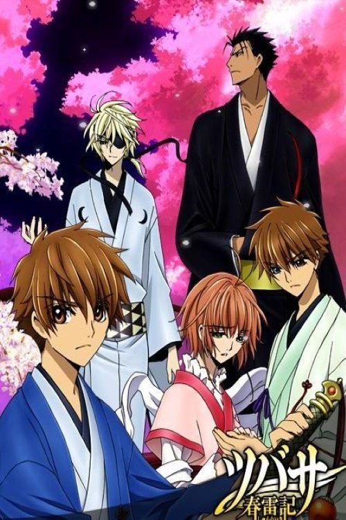 Tsubasa Chronicle: Shunraiki (2009) poster