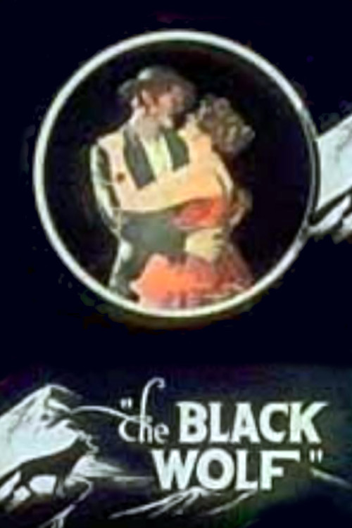 The Black Wolf (1917) poster