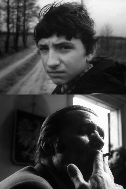 Foreman on a Farm (1978) poster