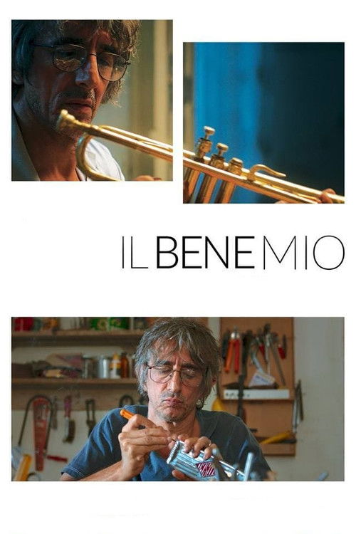 Il bene mio (2018) poster