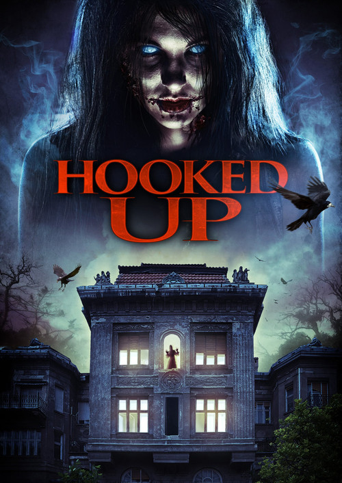 Hooked Up (2013) poster
