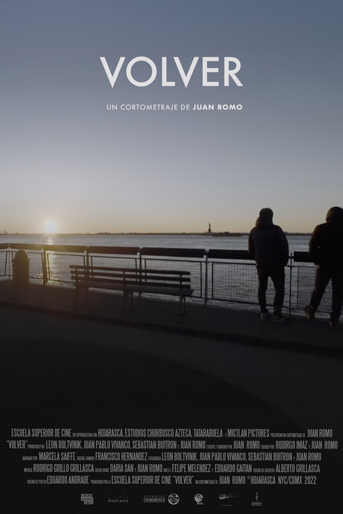 Volver poster