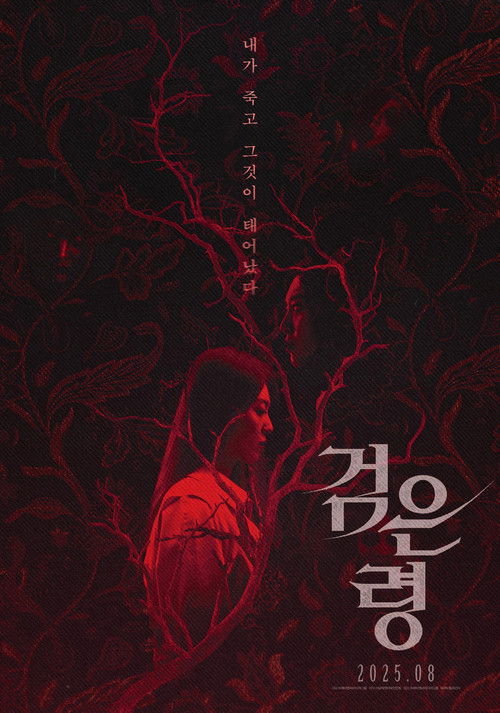검은 령 (2025) poster