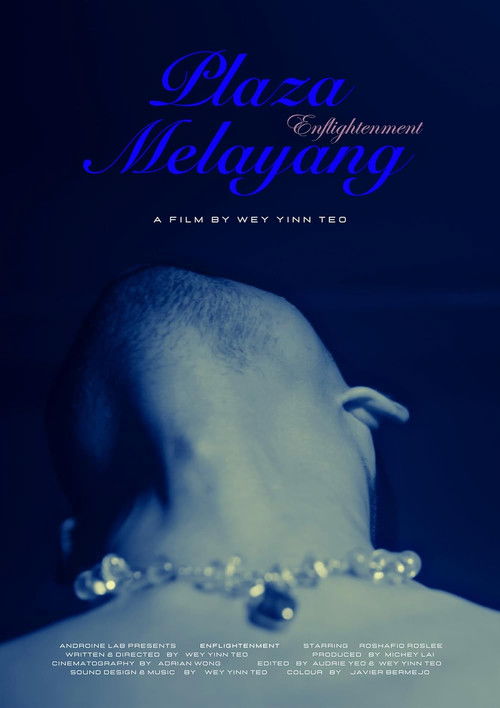 Enflightenment (2023) poster