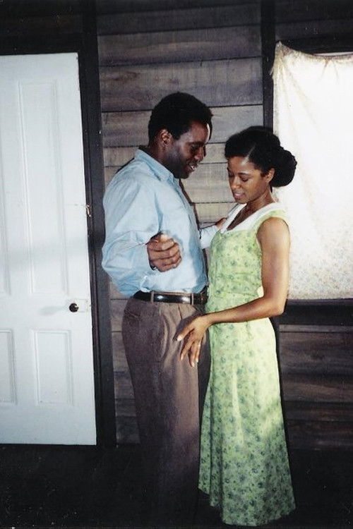 The Gilded Six Bits (2001) poster