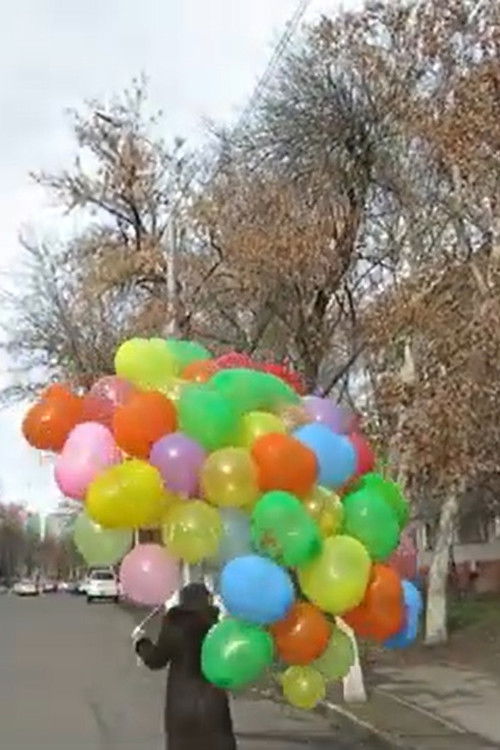 Timelessness Light (2018) poster