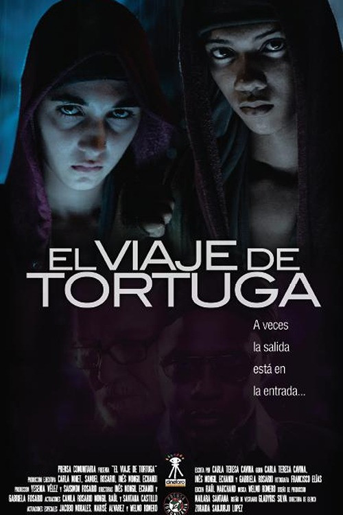 El viaje de Tortuga (2010) poster