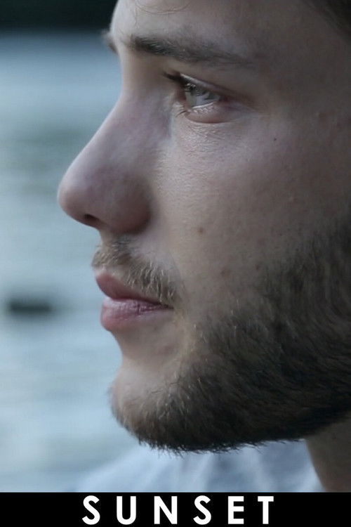 Sunset (2014) poster