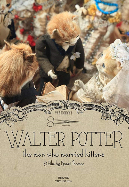 Walter Potter: The Man Who Married Kittens (2015) poster