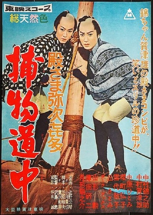 Diary of a Wandering Lord (1959) poster