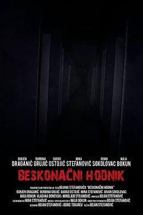 Endless Corridor (2013) poster