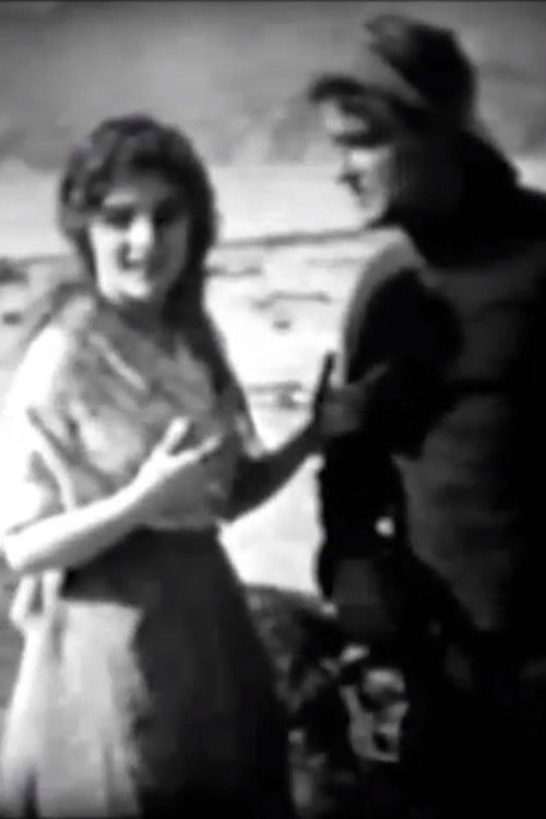 Fisher Folks (1911) poster