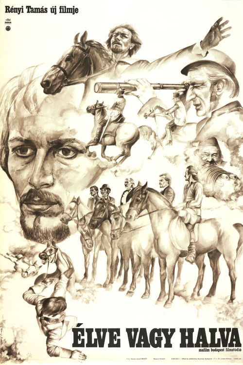 Dead or Alive (1980) poster