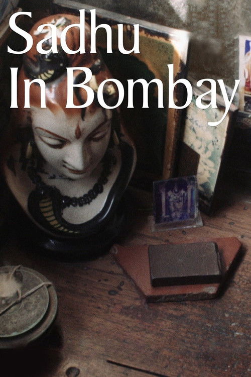 Sadhu in Bombay (2017) poster