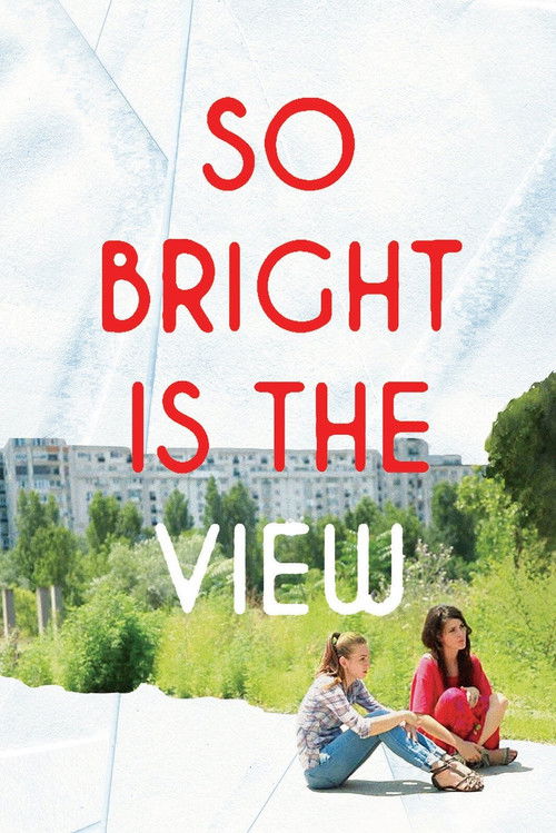 So Bright Is the View (2014) poster