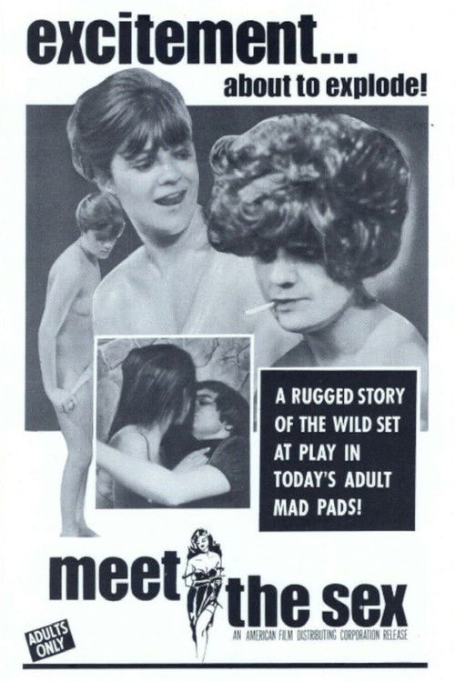 Meet The Sex (1969) poster