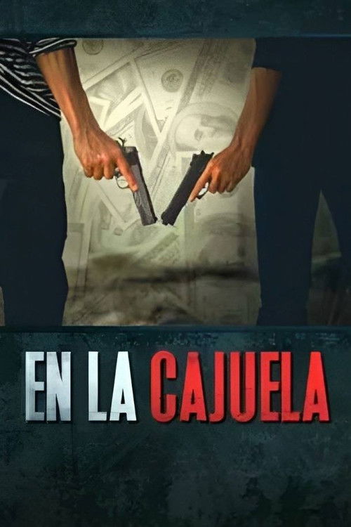 En la cajuela (2013) poster