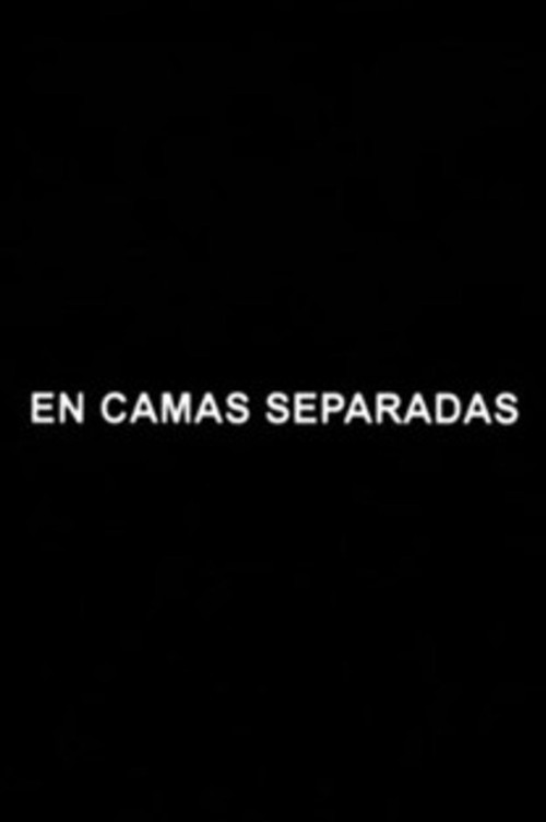 En camas separadas (2003) poster