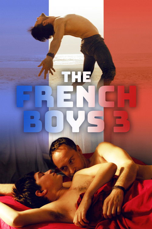 The French Boys 3 (2022) poster