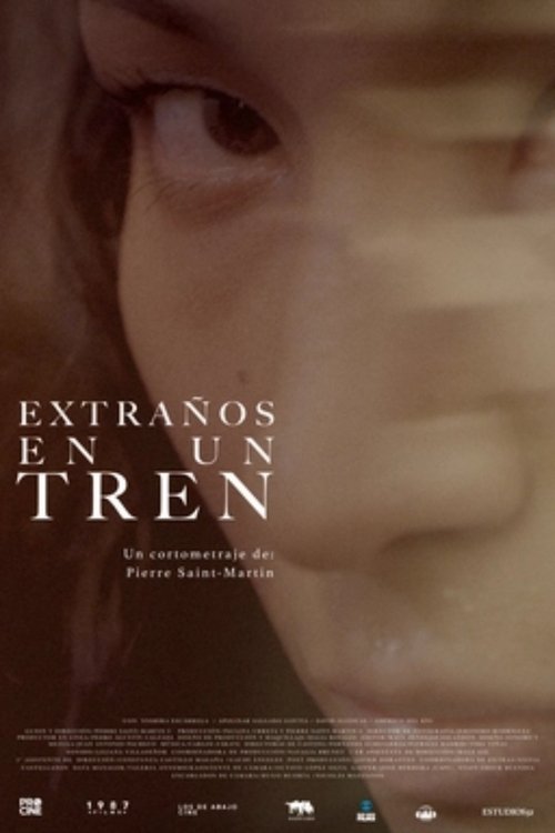 Extraños en un tren (2020) poster