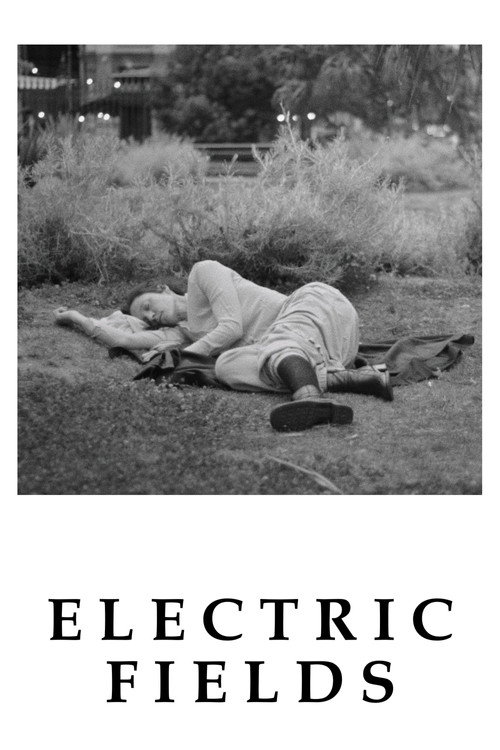 Electric Fields (2024) poster