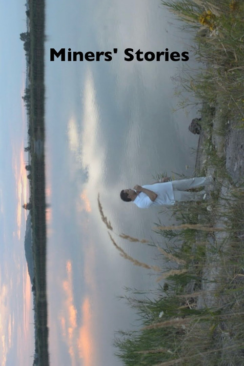 Miners' Stories (2016) poster