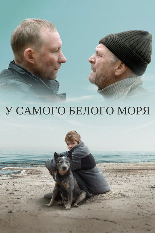 By The White Sea (2022) poster