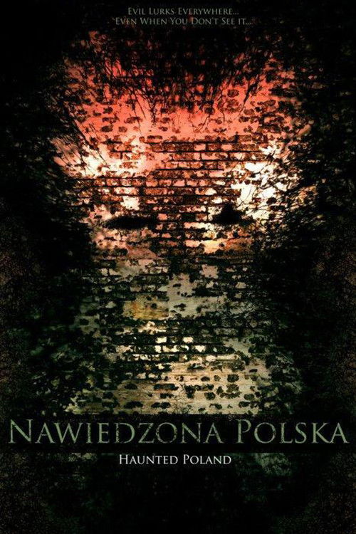 Haunted Poland (2011) poster
