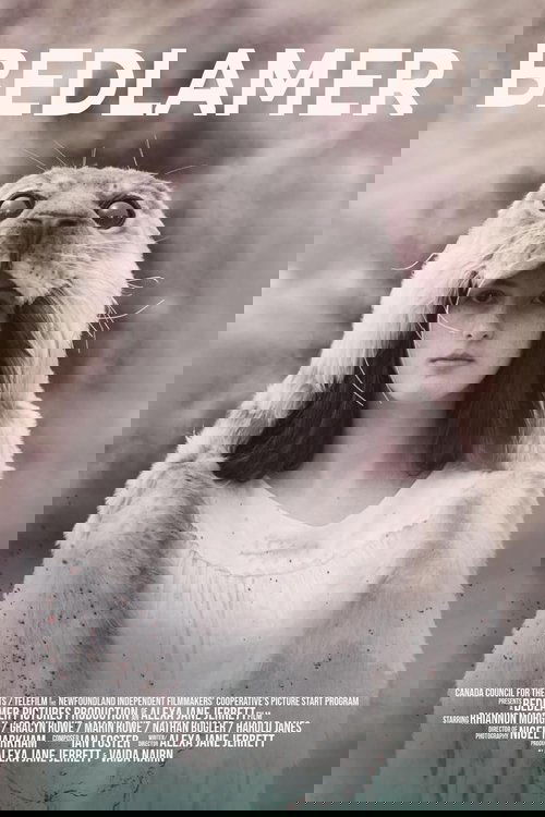 Bedlamer (2024) poster