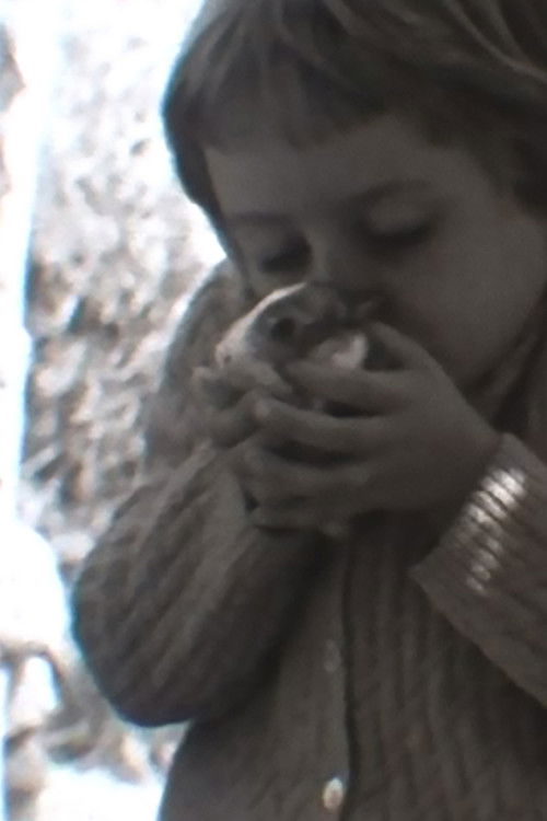 Coniglio, Leoni & circostanze varie (2009) poster