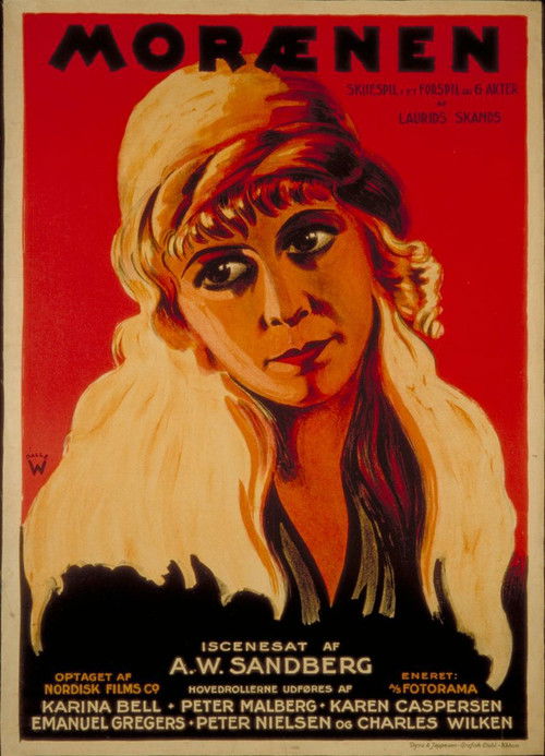 The House of Shadows (1924) poster