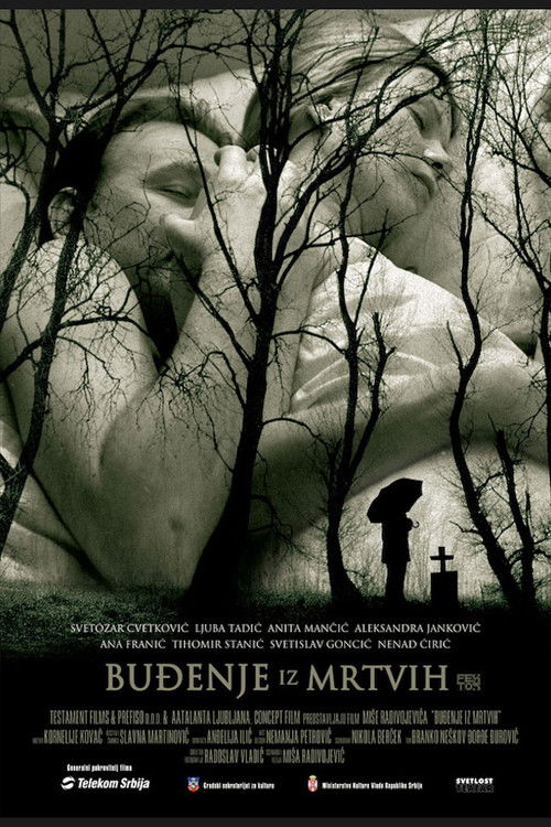 Awakening from the Dead (2005) poster