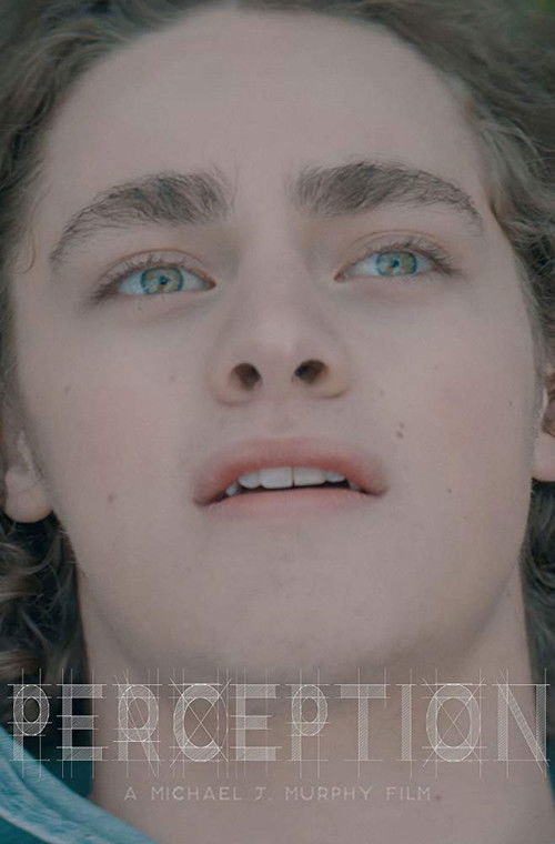 Perception (2017) poster