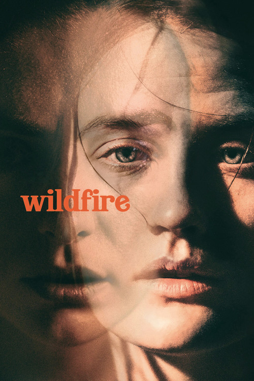 Wildfire (2021) poster